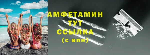 стаф Балахна