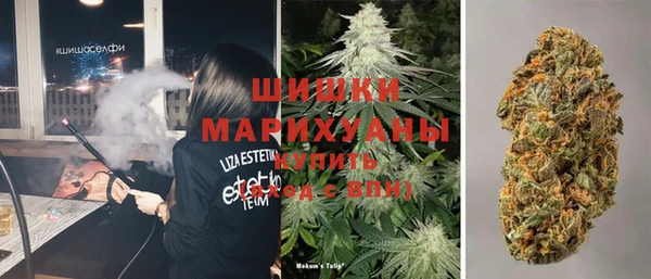 стаф Балахна