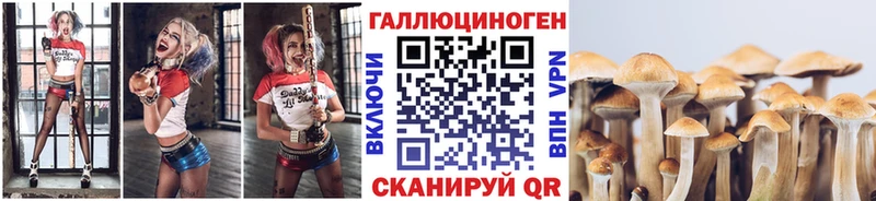 Псилоцибиновые грибы Magic Shrooms  Валуйки 